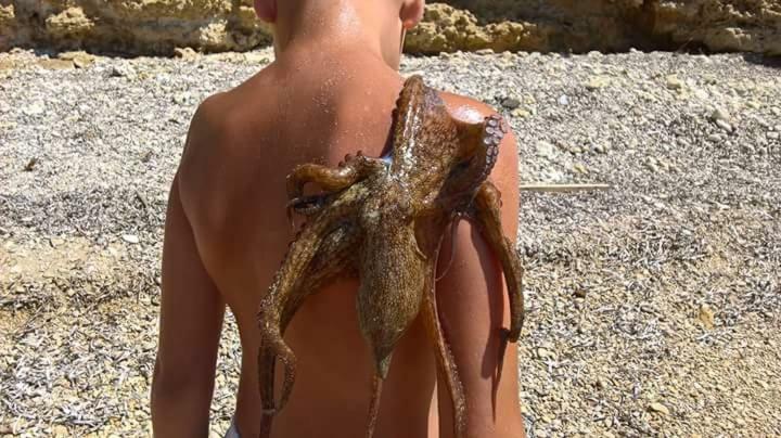 Nemo Mare Lejlighed Lido di Noto Eksteriør billede